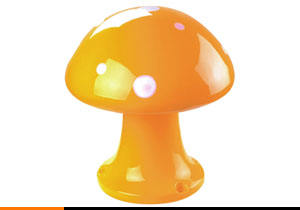 Ģ